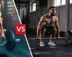 trapezius bar